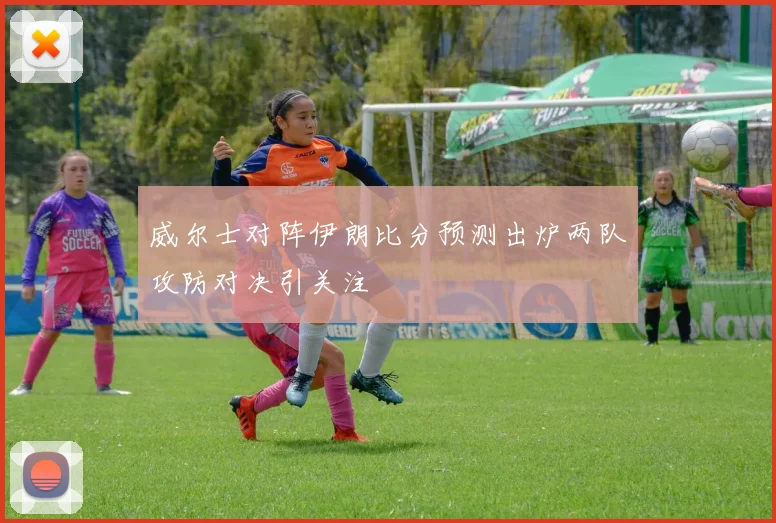 威尔士对阵伊朗比分预测出炉两队攻防对决引关注