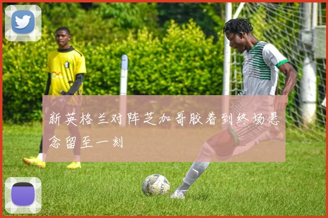 新英格兰对阵芝加哥胶着到终场悬念留至一刻