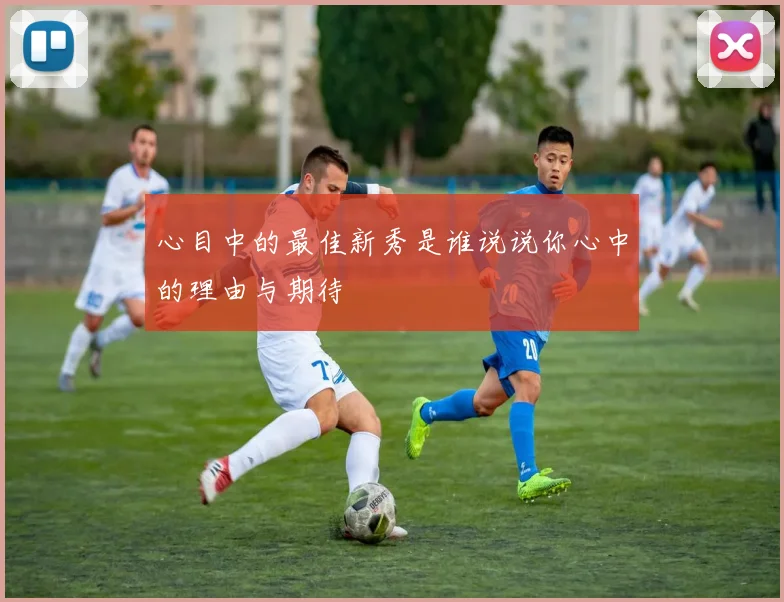 心目中的最佳新秀是谁说说你心中的理由与期待