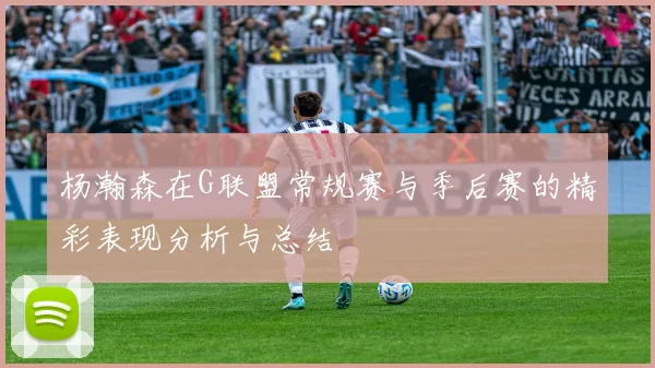 杨瀚森在G联盟常规赛与季后赛的精彩表现分析与总结