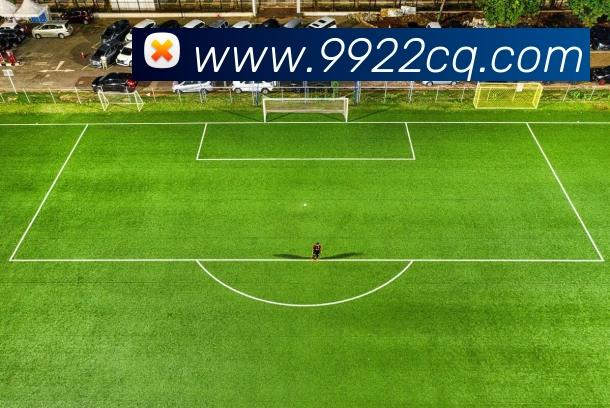 星空体育体育登录入口APP 封面图